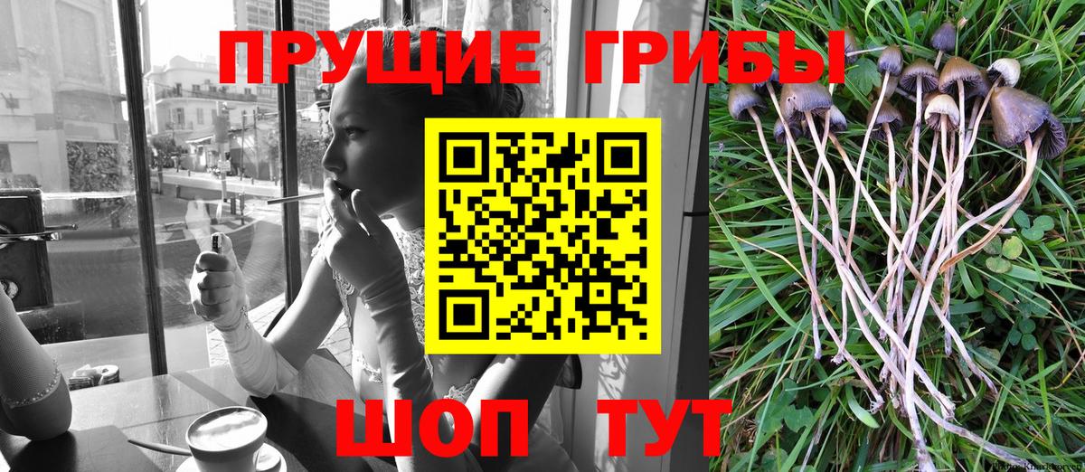 Псилоцибиновые грибы Magic Shrooms  Галлюциногенные грибы ЛСД  Вход с VPN  Куйбышев 