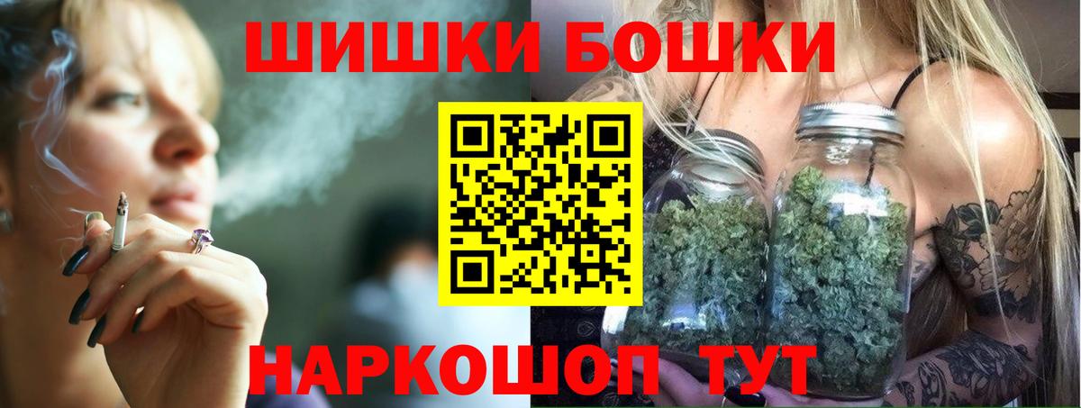 Конопля гибрид Куйбышев